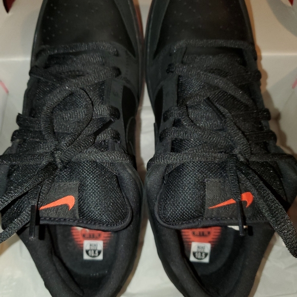 Authentic used Nike SB Dunk lo Black Pigeon - Picture 9 of 16